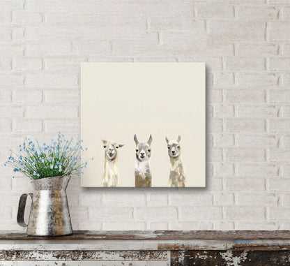 Baby Llama Trio Canvas Wall Art