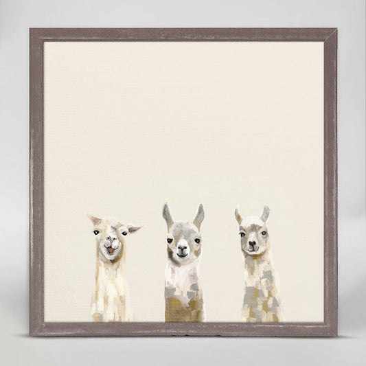Baby Llama Trio Mini Framed Canvas