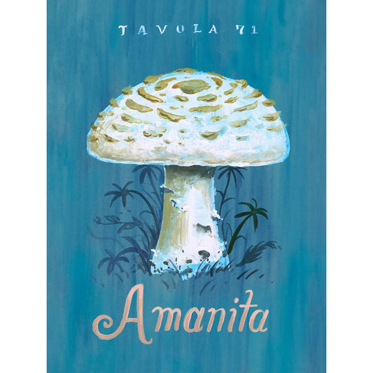 The Mushroom Chart - Tavola 71 Amanita Canvas Wall Art