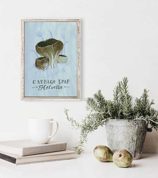 The Mushroom Chart - Cabbage Leaf Helvella Mini Framed Canvas - GreenBox Art