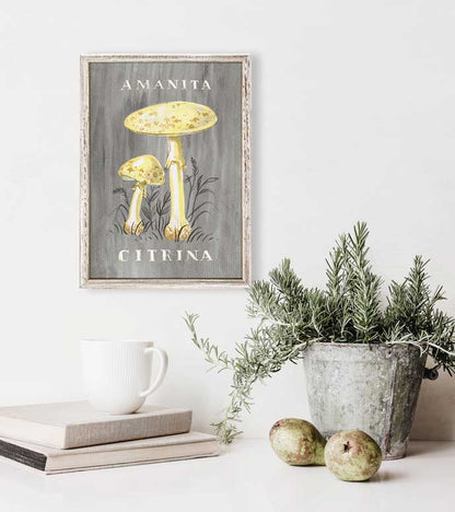 The Mushroom Chart - Amanita Citrina Mini Framed Canvas
