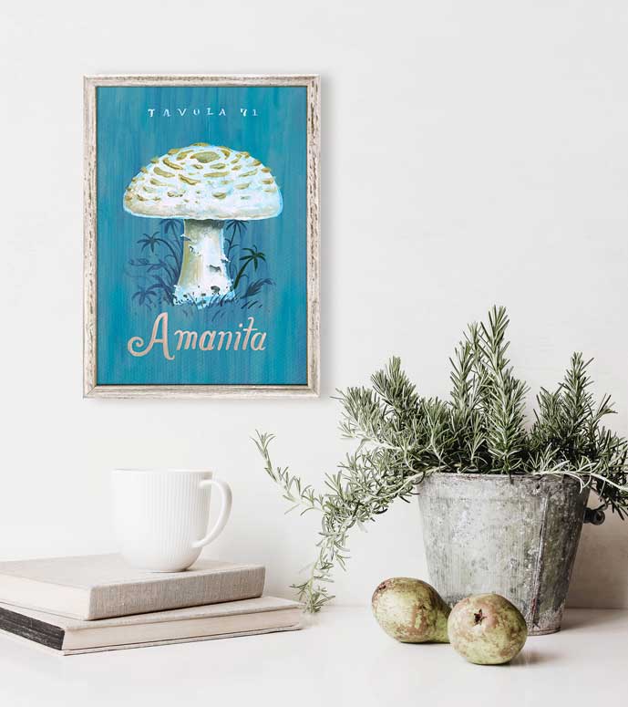 The Mushroom Chart - Tavola 71 Amanita Mini Framed Canvas