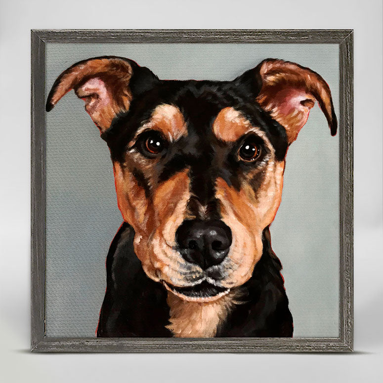 Leroy Wants A Treat Mini Framed Canvas - GreenBox Art