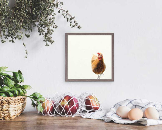 Sassy Chicken Mini Framed Canvas - GreenBox Art