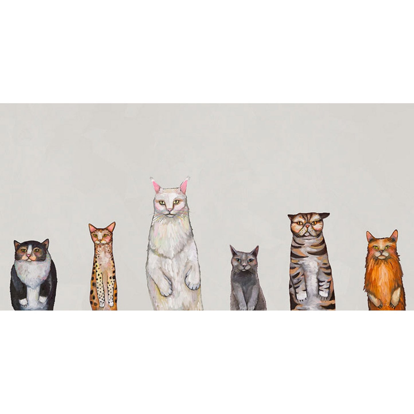 Cats Cats Cats Canvas Wall Art