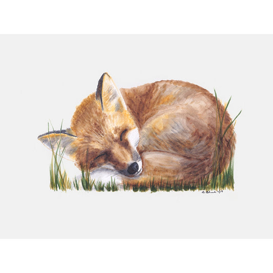 Sleeping Animal Portraits - Woodland Fox Canvas Wall Art