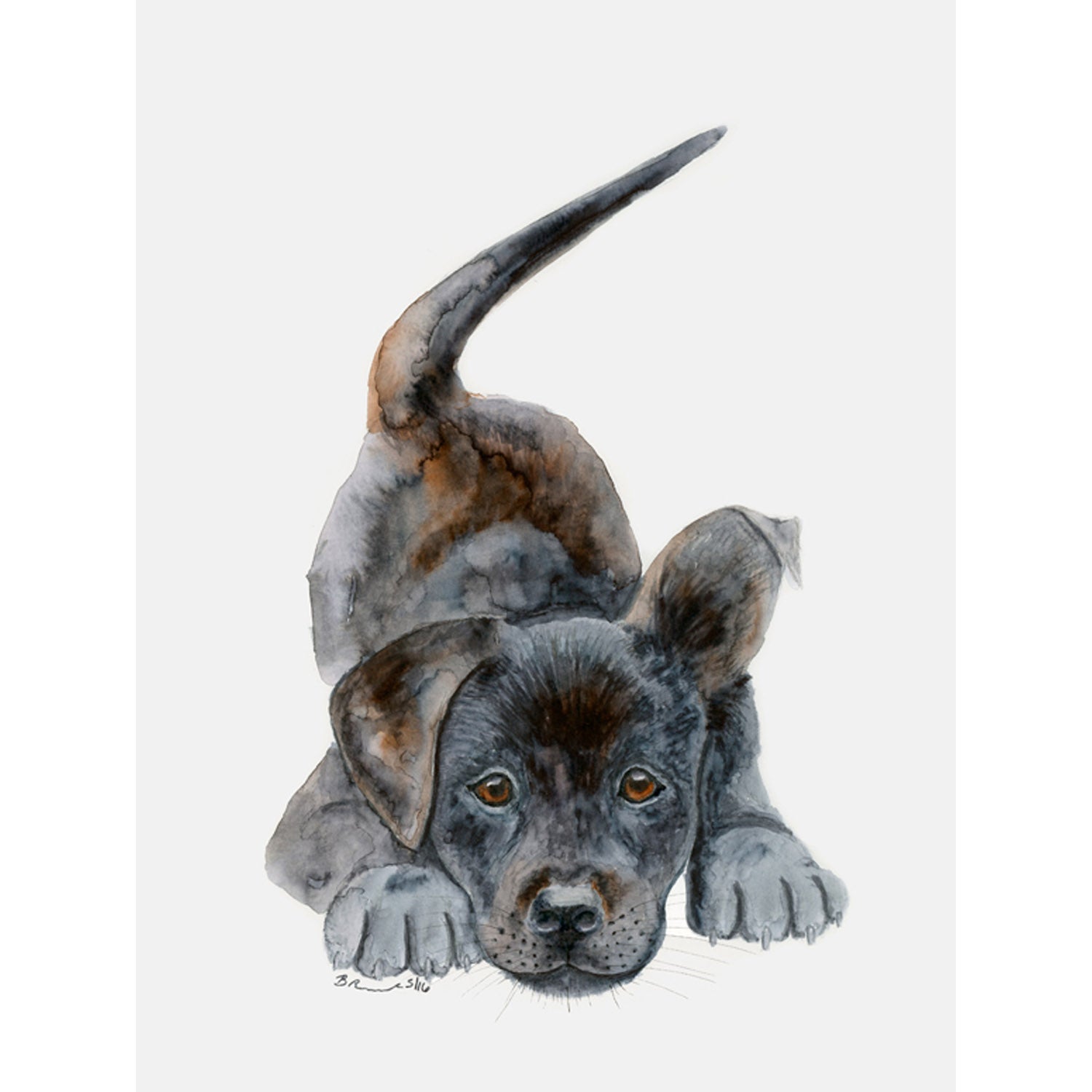 Playful Puppy Portrait Canvas Wall Art - GreenBox Art