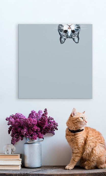 Feline Friends - Peeking Cat Canvas Wall Art