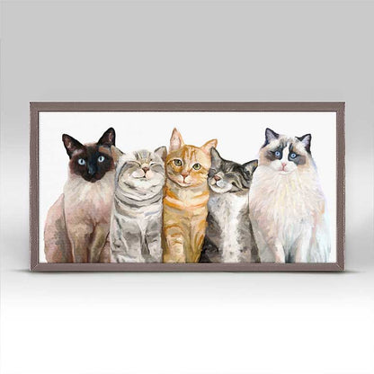 Feline Friends - Cat Bunch Mini Framed Canvas