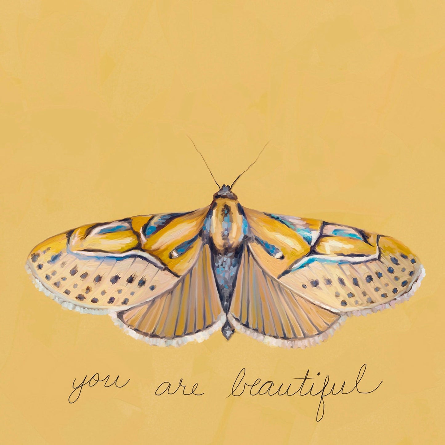 Inspirational Moths - You Are Beautiful Canvas Wall Art