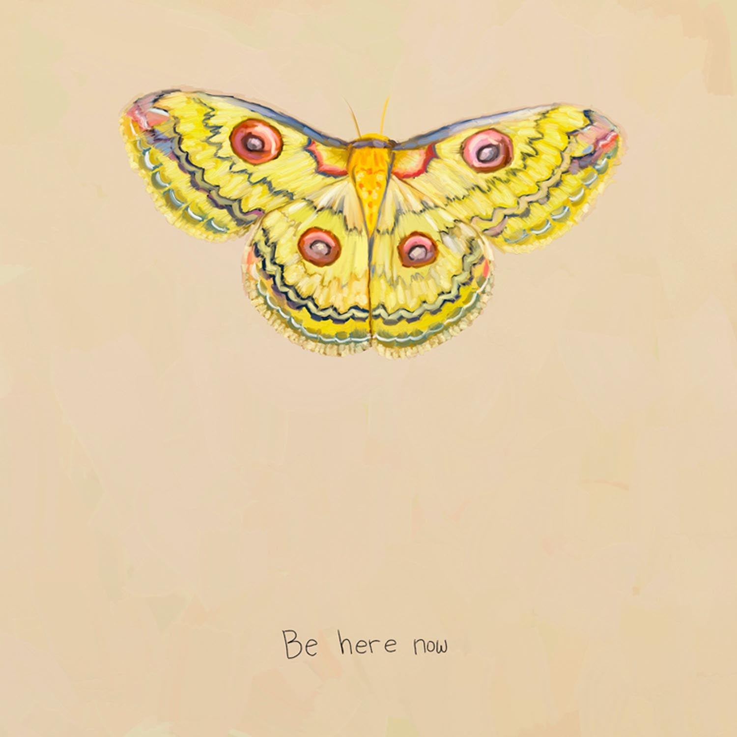 Inspirational Moths - Be Here Now Canvas Wall Art - GreenBox Art