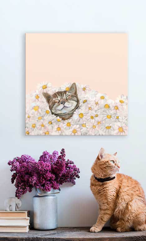 Feline Friends - Happy As A Cat In Daisies Canvas Wall Art