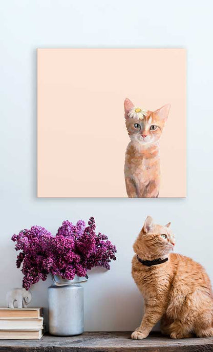 Feline Friends - Daisy Kitten Canvas Wall Art