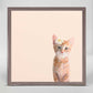 Feline Friends - Daisy Kitten Mini Framed Canvas