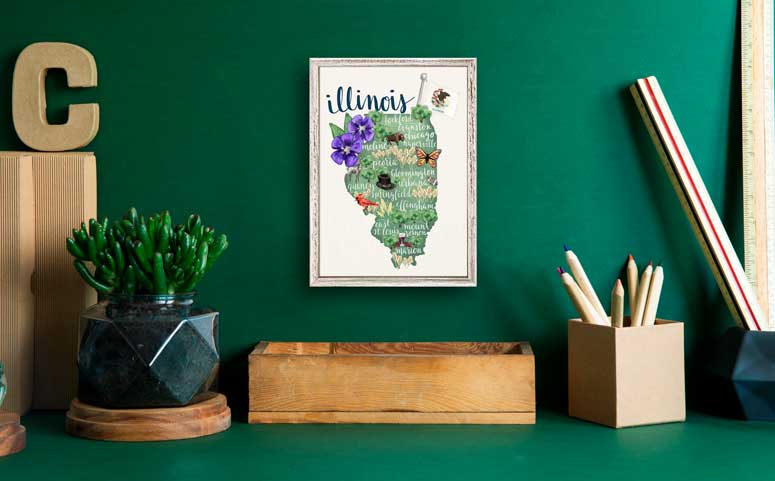 State Map - Illinois Mini Framed Canvas