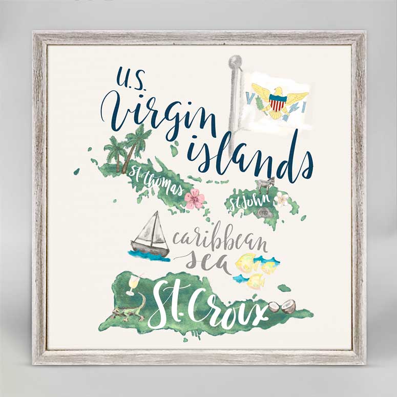 State Map - US Virgin Islands Mini Framed Canvas