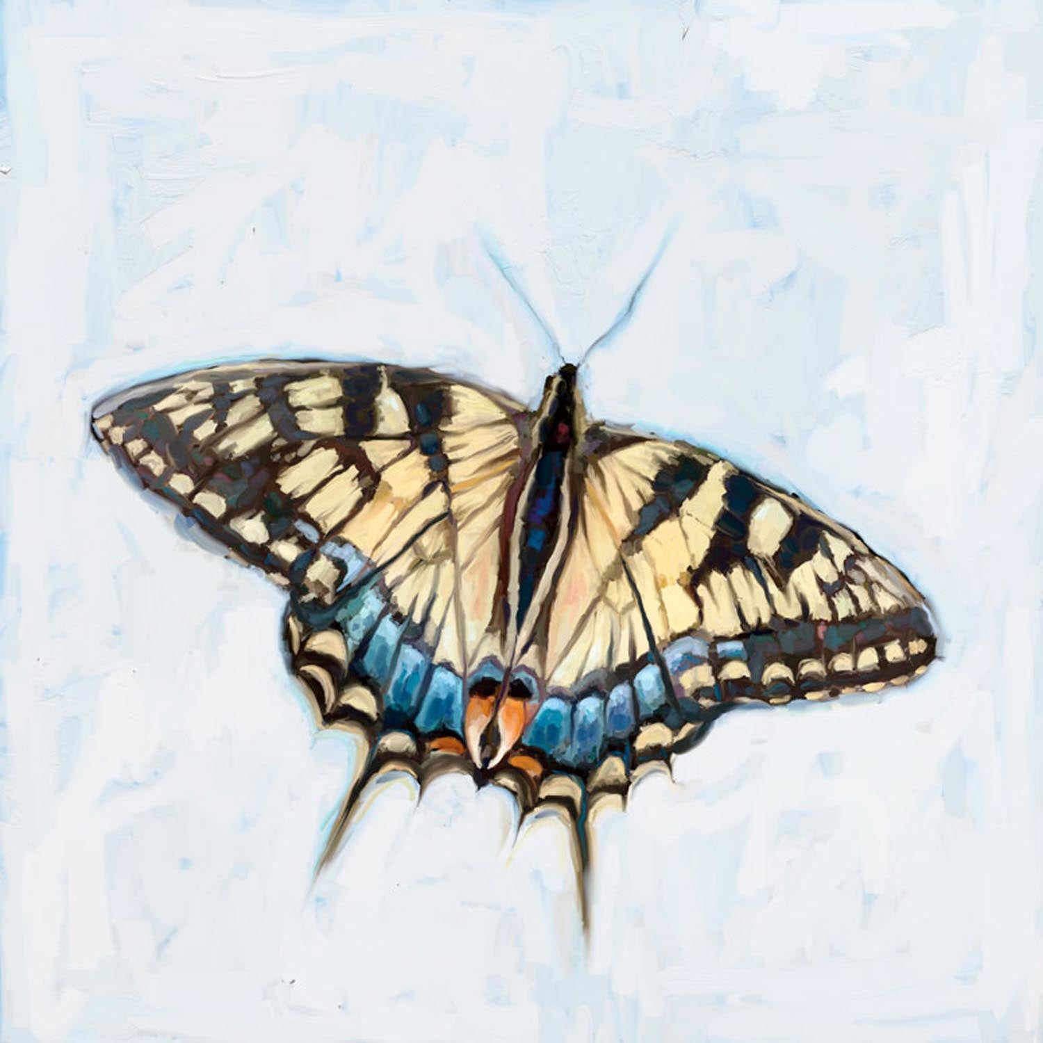 Dreaming In Blue - Butterfly 4 Canvas Wall Art - GreenBox Art