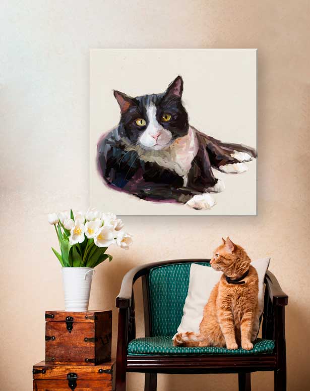 Feline Friends - Tuxedo Cat Canvas Wall Art