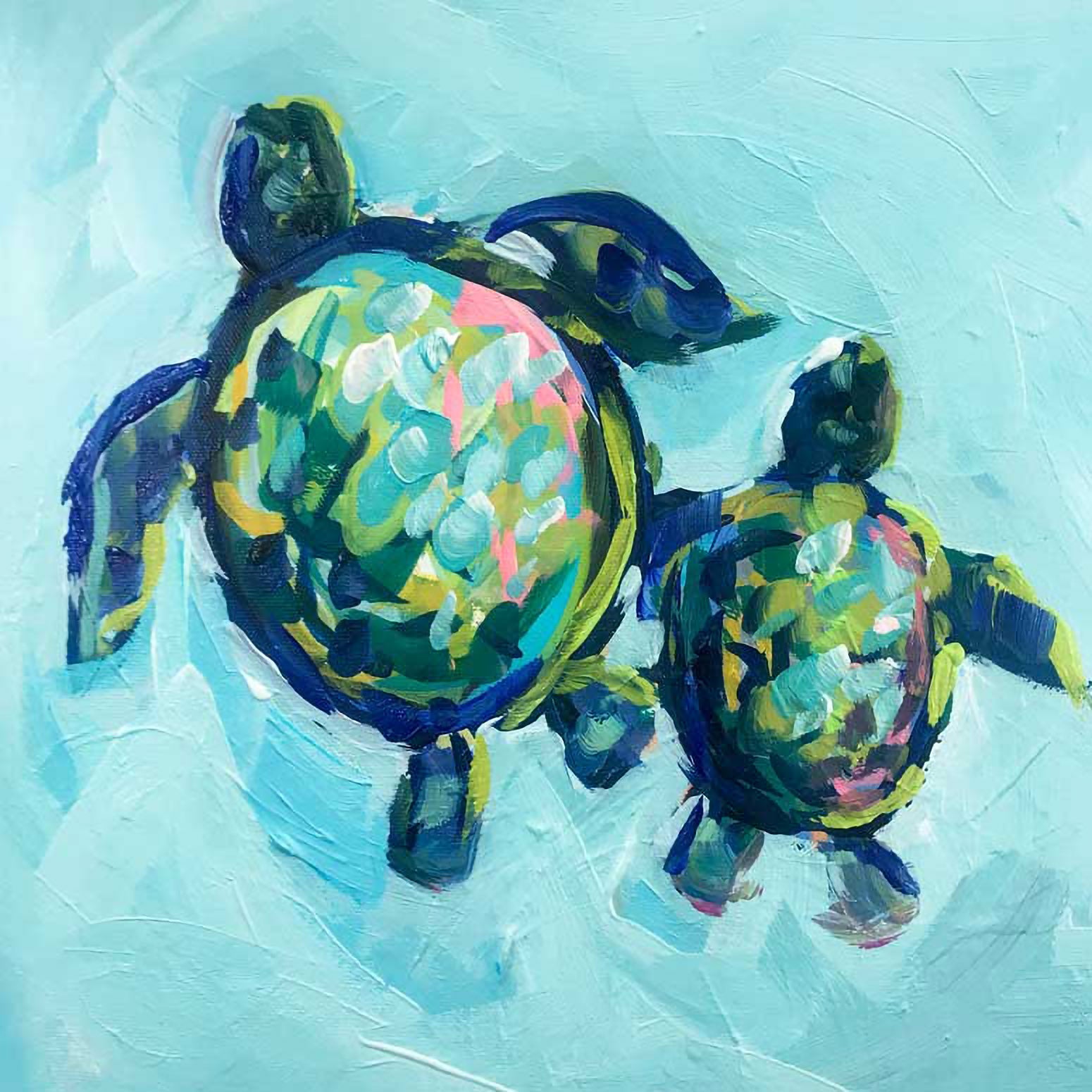 Terrapins swimming gifts