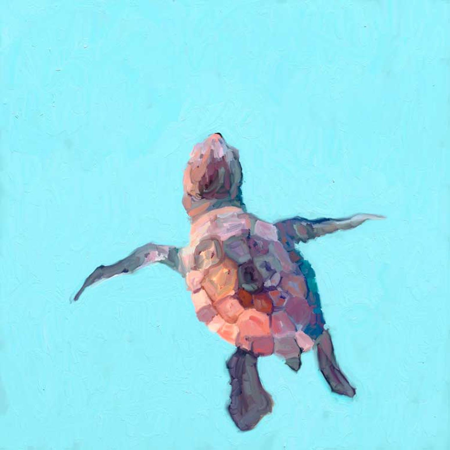 Swimming Baby Turtle 1 Canvas Wall Art - GreenBox Art