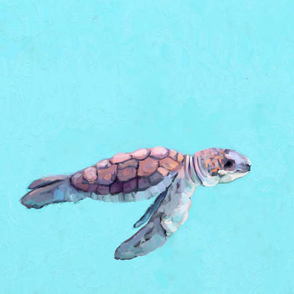 Swimming Baby Turtle 2 Canvas Wall Art