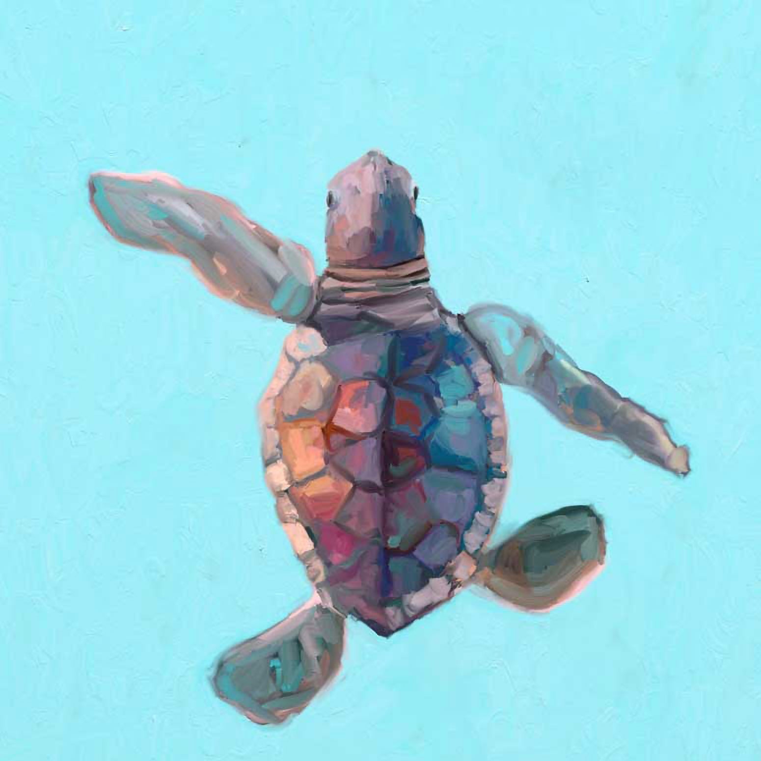 Swimming Baby Turtle 3 Canvas Wall Art - GreenBox Art