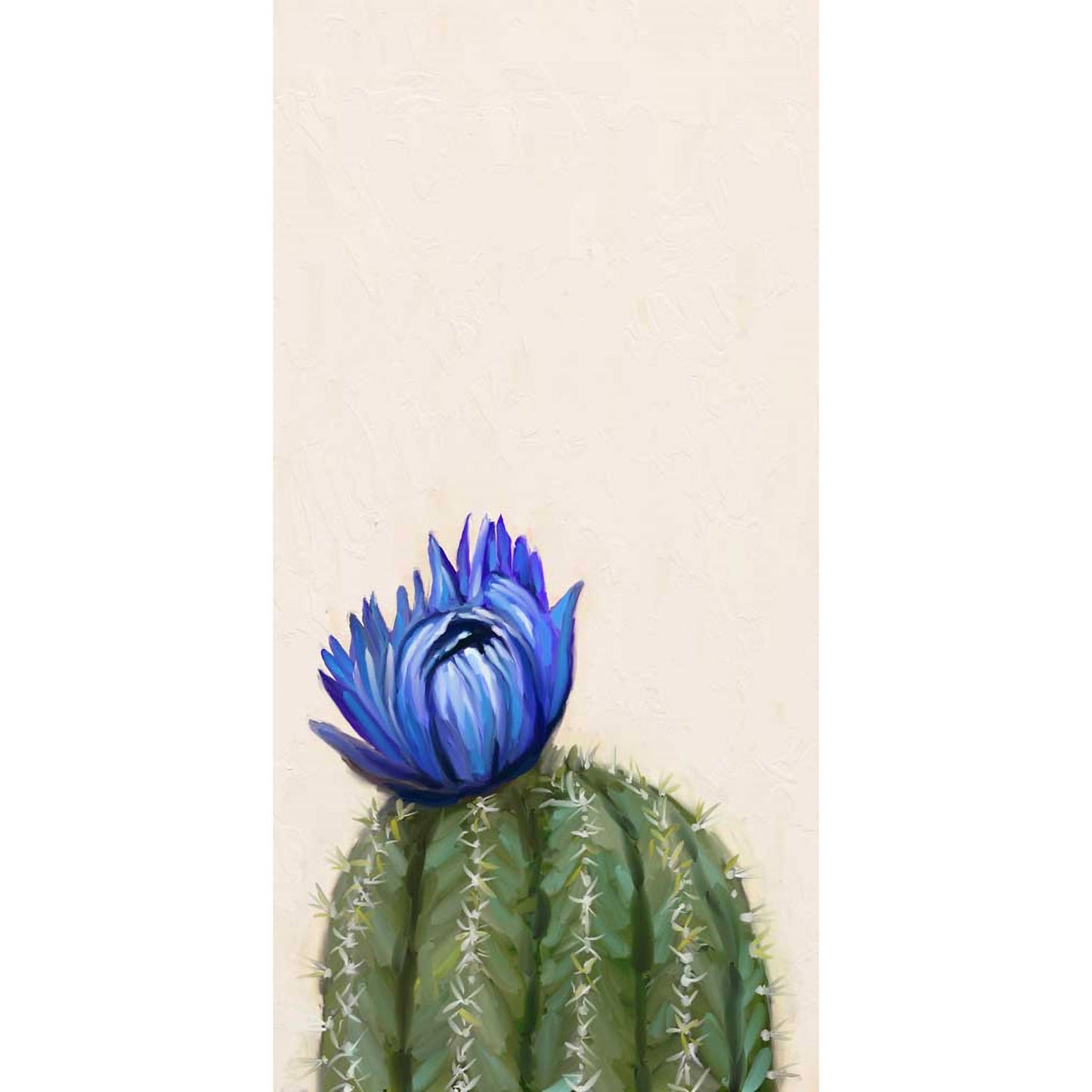 Cactus Garden - Desert Jewel - Narrow Canvas Wall Art