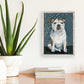 Bulldog Eyes Mini Framed Canvas