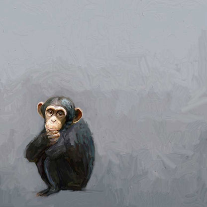 Little Chimpanzee Canvas Wall Art