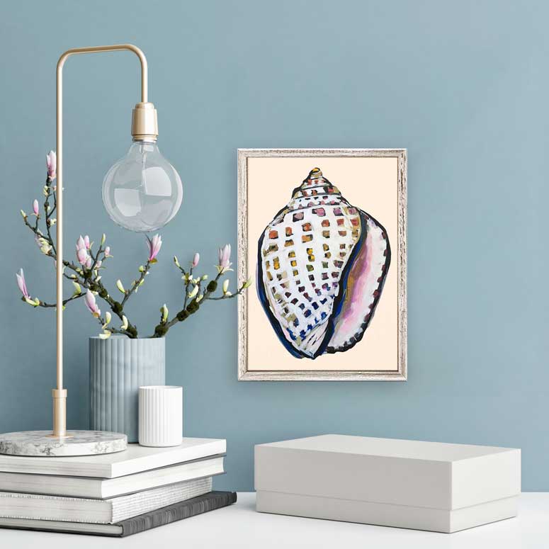 She Sells Seashells - Spotted Tun Mini Framed Canvas - GreenBox Art