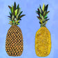 Tropical Pineapple Pair Canvas Wall Art