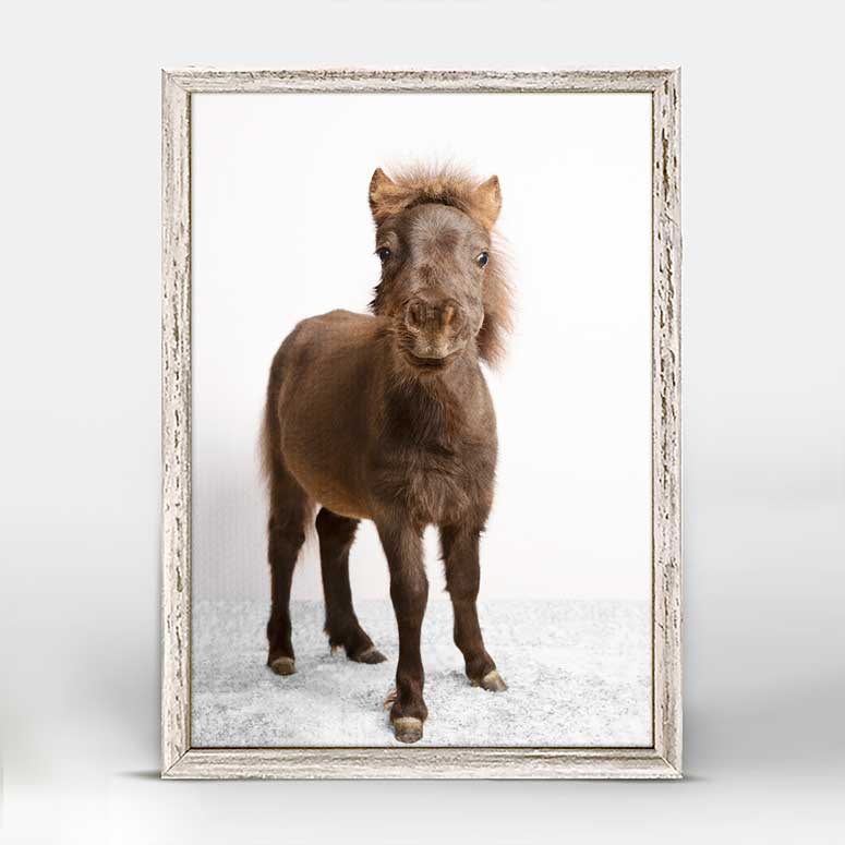 Petite Ponies - Mocha Mini Framed Canvas