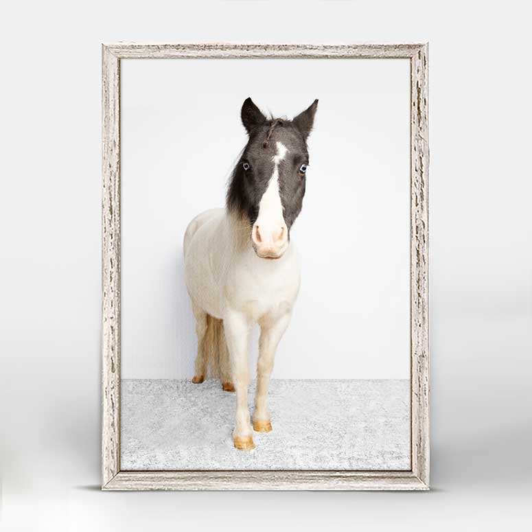Petite Ponies - Chance Mini Framed Canvas