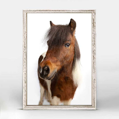 Petite Ponies - Moose Mini Framed Canvas
