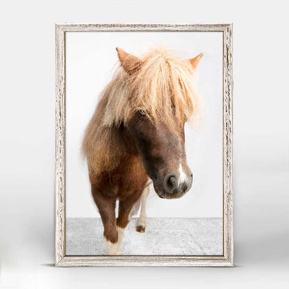 Petite Ponies - Sebastian Mini Framed Canvas - GreenBox Art