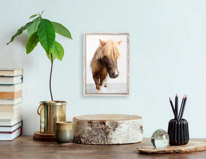 Petite Ponies - Sebastian Mini Framed Canvas - GreenBox Art