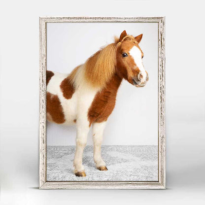 Petite Ponies - Bailey Mini Framed Canvas