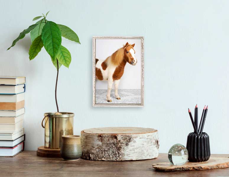 Petite Ponies - Bailey Mini Framed Canvas - GreenBox Art