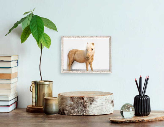 Petite Ponies - Blondie Mini Framed Canvas