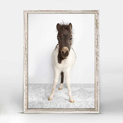 Petite Ponies - Oreo Mini Framed Canvas