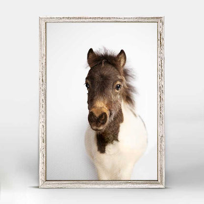 Petite Ponies - Oreo's Close Up Mini Framed Canvas