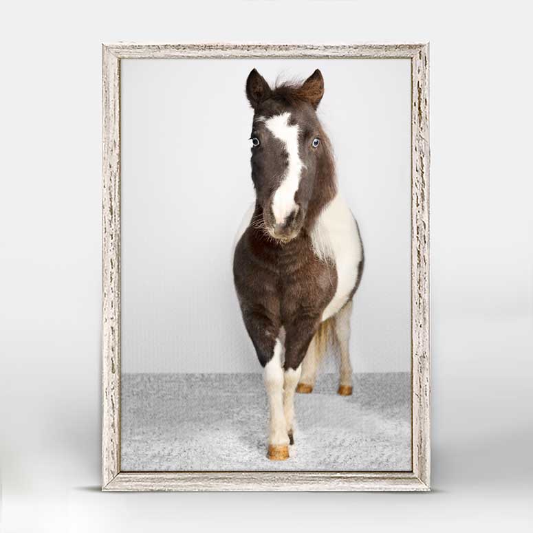 Petite Ponies - Domino Mini Framed Canvas
