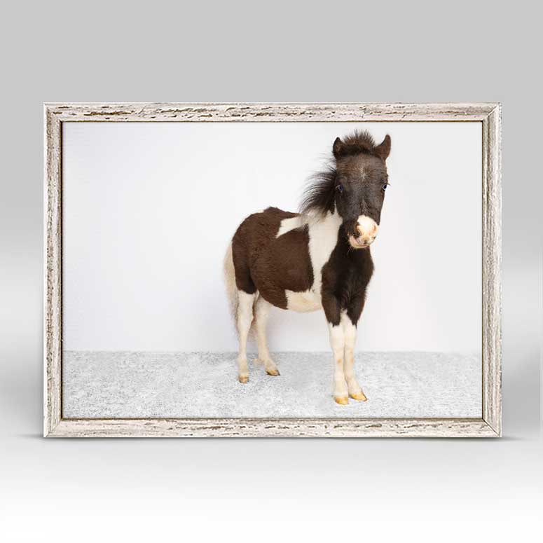 Petite Ponies - Luna Mini Framed Canvas