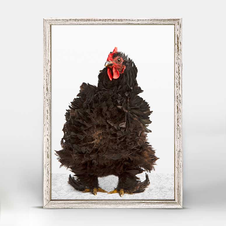 Charming Chickens - So Fluffy Mini Framed Canvas