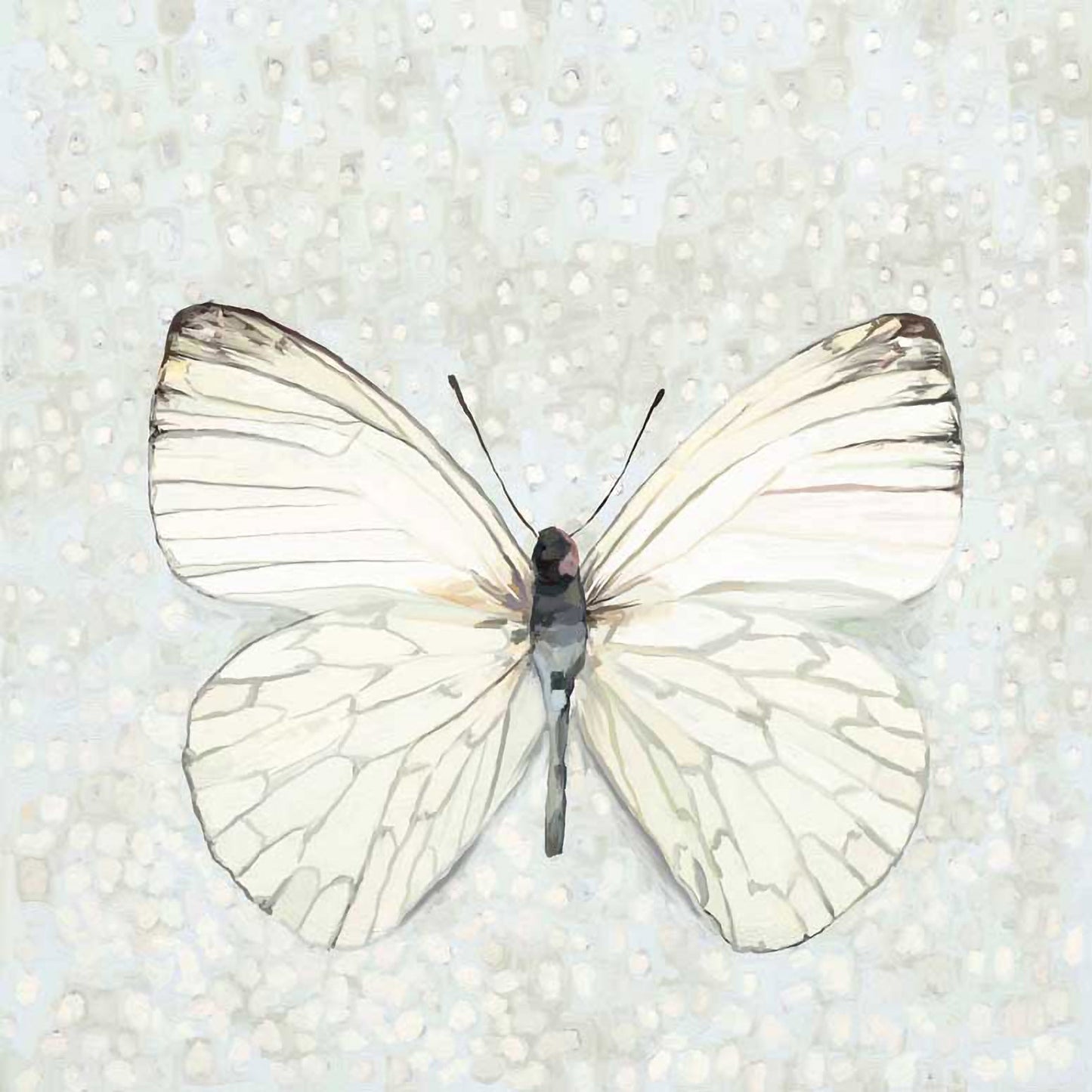 White On White Wings 3 Canvas Wall Art