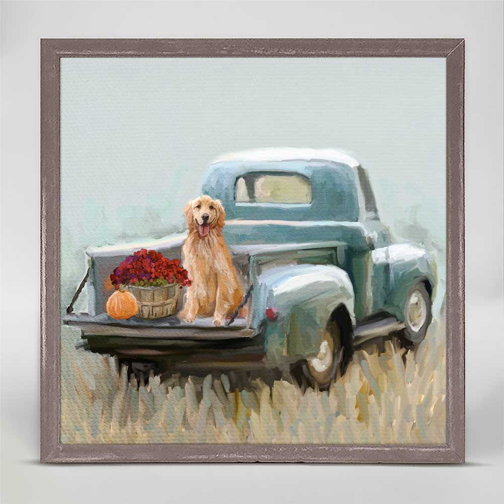 Fall - Golden Pup In Truck Mini Framed Canvas